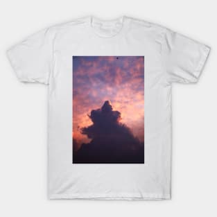 Cotton Candy Skies: The Cutest Pink Clouds T-Shirt